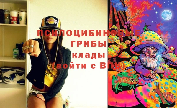 МДПВ Алексин