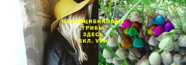 гидропоника Алексеевка