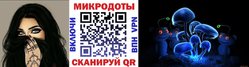 наркота  Чаплыгин  Галлюциногенные грибы прущие грибы 